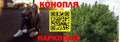 apvp Свободный