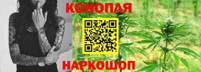 apvp Свободный