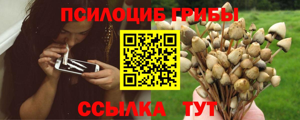 закладки  Псилоцибиновые грибы мухоморы  Вход с VPN  Обь 