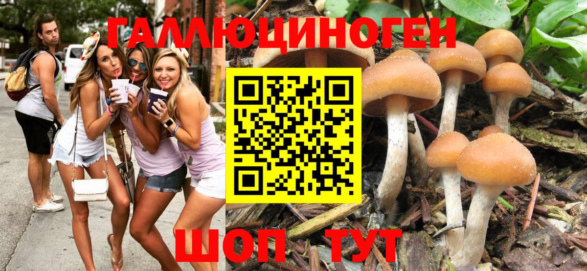 Галлюциногенные грибы мухоморы Обь