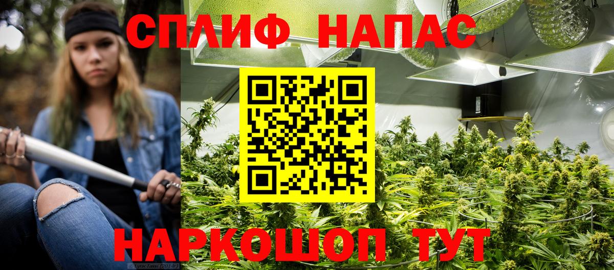 Конопля Ganja Обь